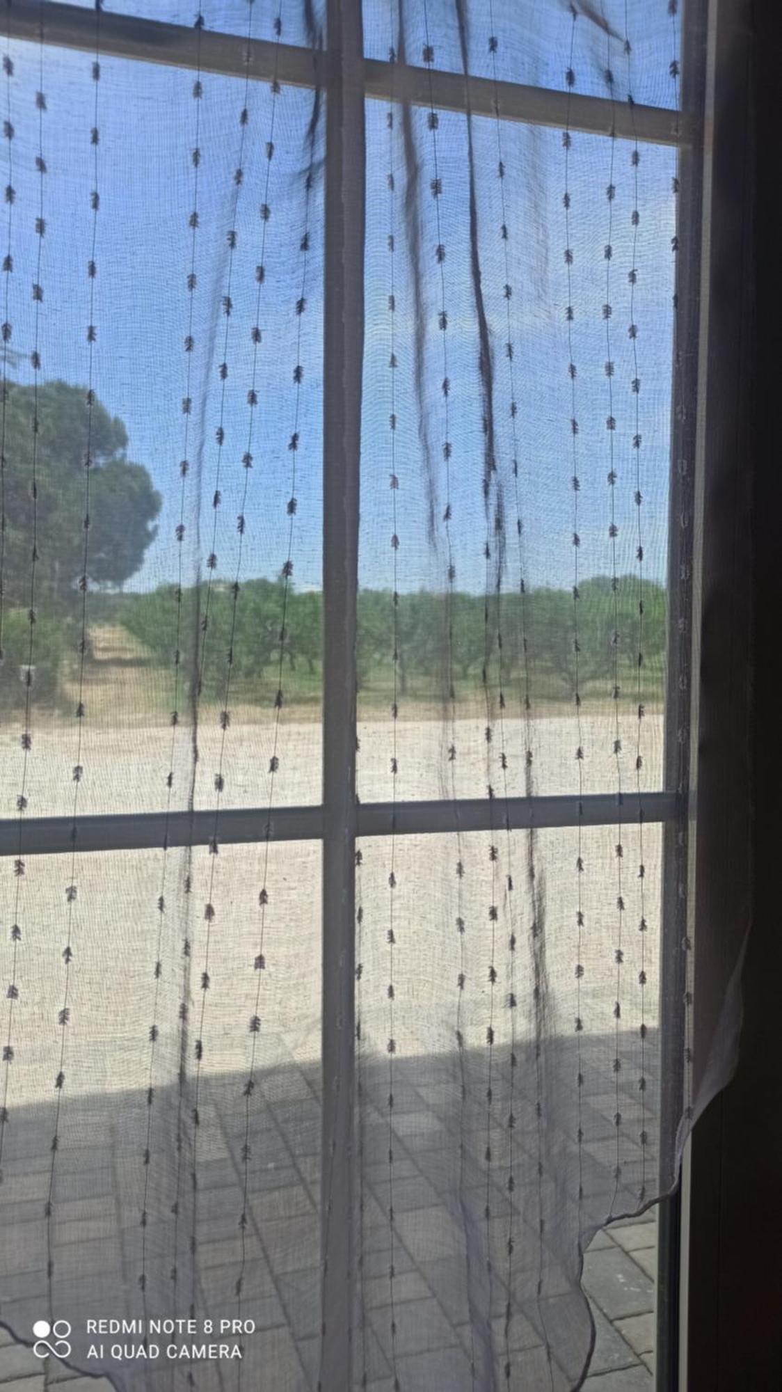 Agriturismo L' Annunziata リッツァーノ 部屋 写真